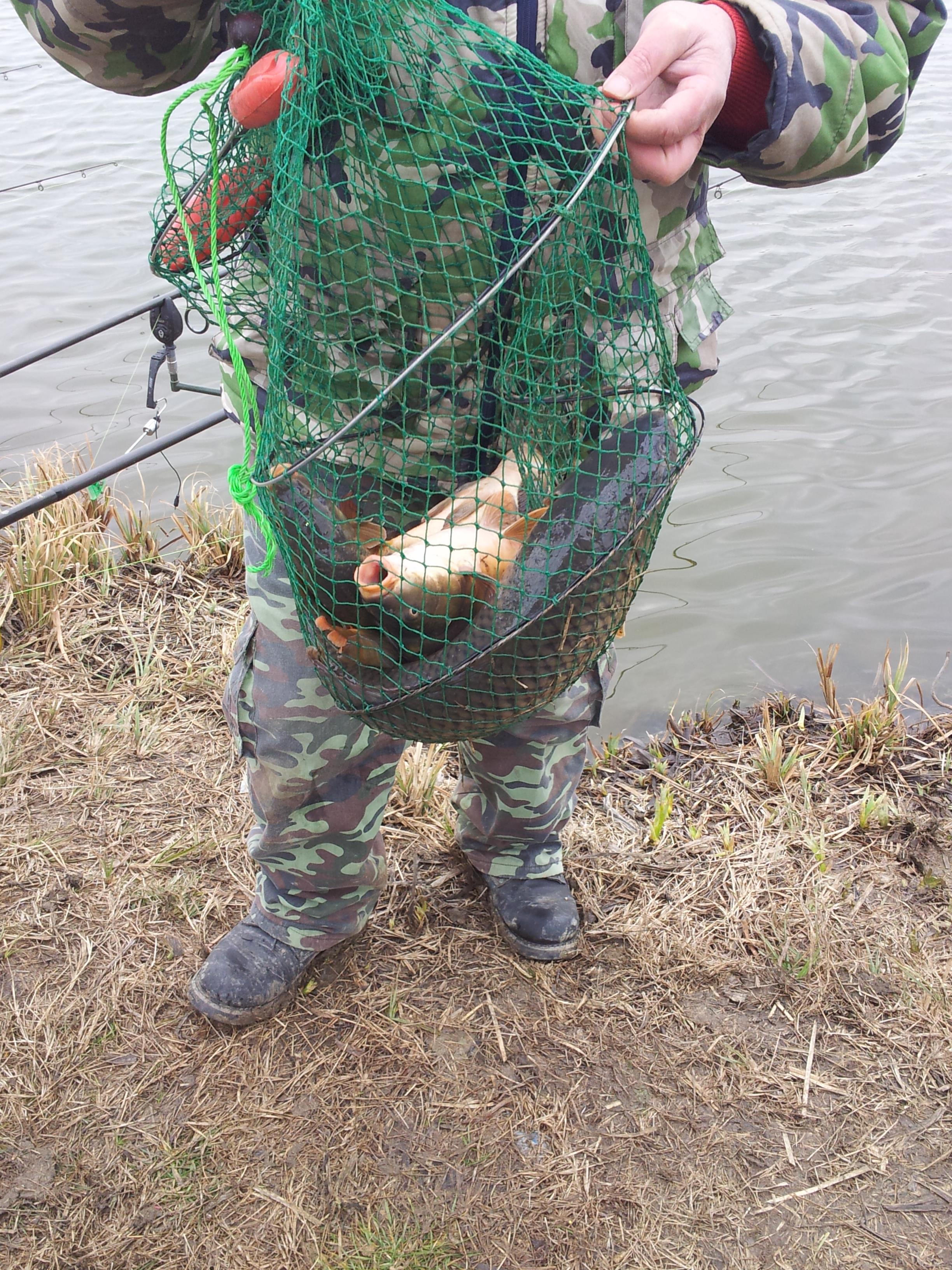 BALARIA  9.02.2013.jpg